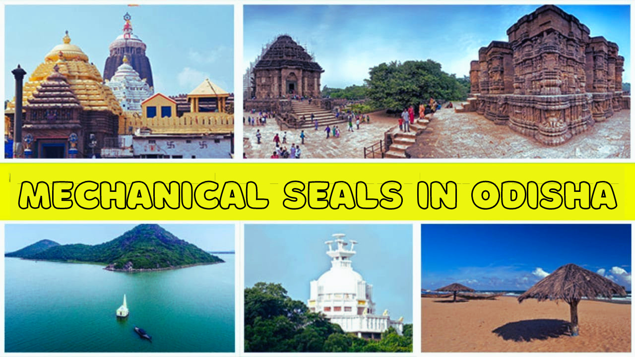 mechanical seals Odisha